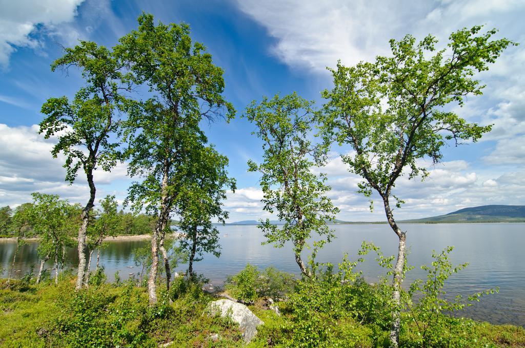Hornavan Hotell Arjeplog Pokój zdjęcie